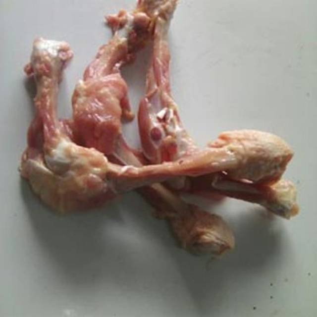 Detail Gambar Tulang Ayam Nomer 27