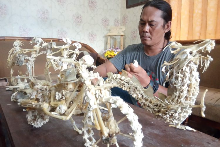 Detail Gambar Tulang Ayam Nomer 39