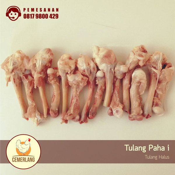 Detail Gambar Tulang Ayam Nomer 41