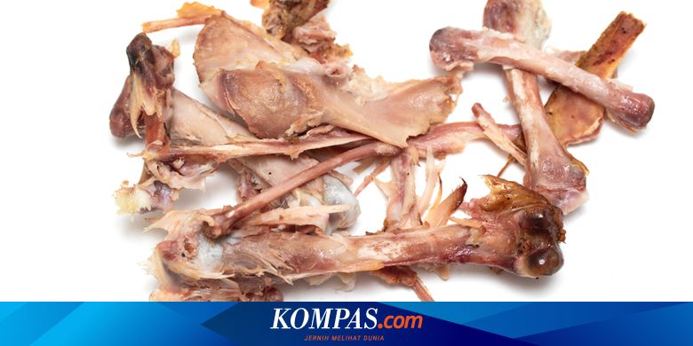 Detail Gambar Tulang Ayam Nomer 45