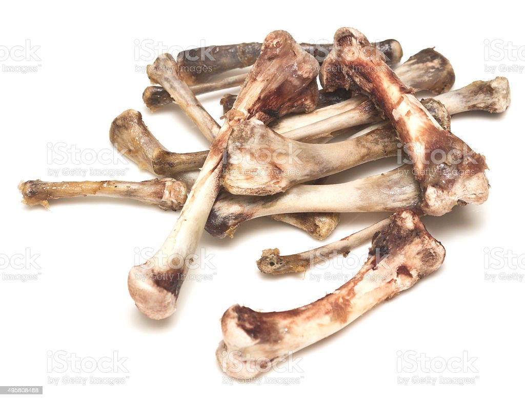 Detail Gambar Tulang Ayam Nomer 7