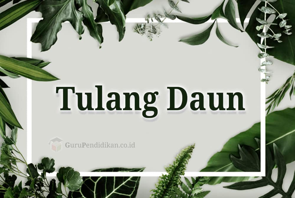 Detail Gambar Tulang Daun Nomer 8