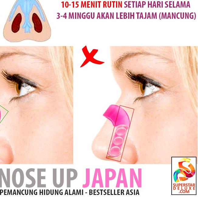 Detail Gambar Tulang Hidung Nomer 23