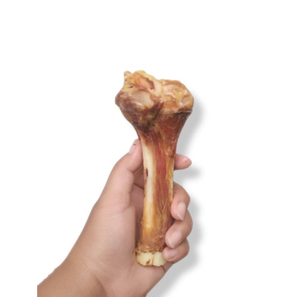 Detail Gambar Tulang Makanan Anjing Nomer 7