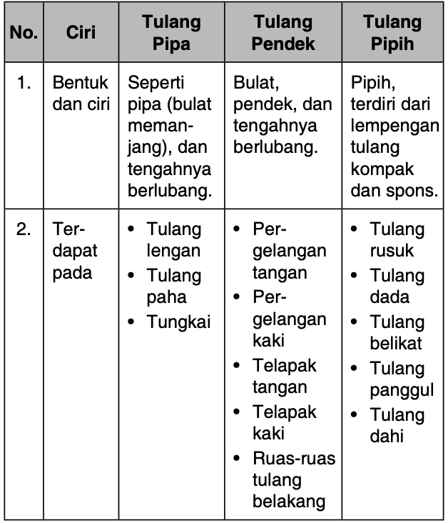 Detail Gambar Tulang Pendek Nomer 39