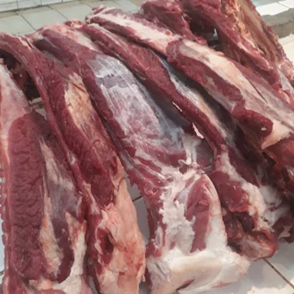Detail Gambar Tulang Sapi Nomer 45