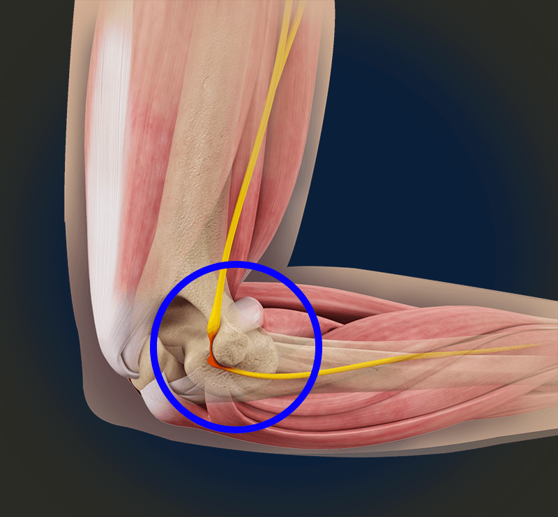 Detail Gambar Tulang Siku Tangan Kiri Nomer 36