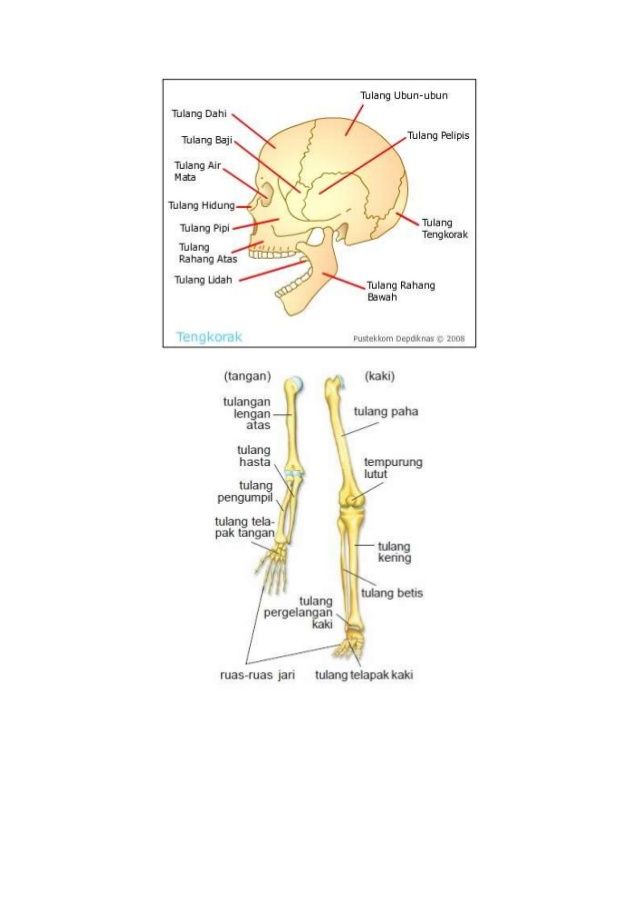 Detail Gambar Tulang Tubuh Mesin Nomer 32