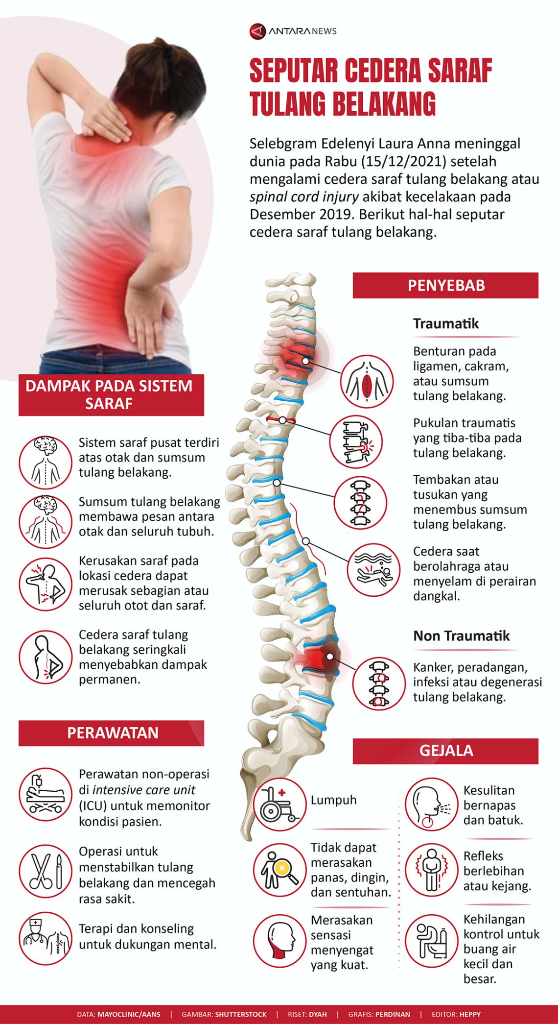 Detail Gambar Tulang Vertebra Nomer 30