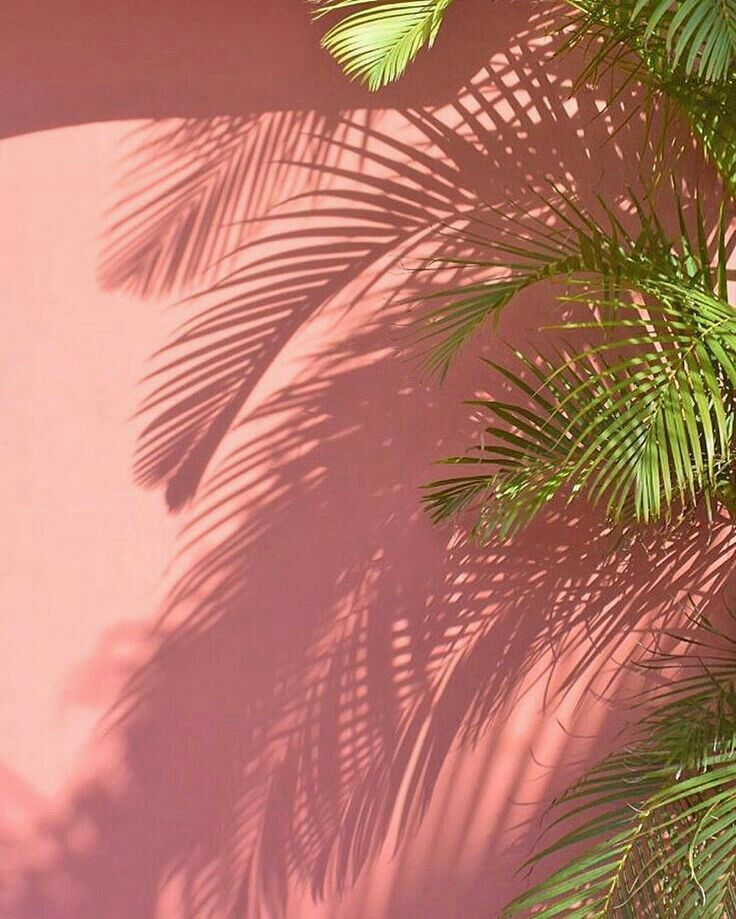 Detail Gambar Tumblr Tumblr Photography Pink Nomer 3