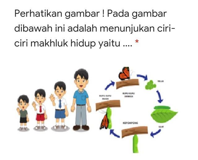 Detail Gambar Tumbuh Dan Berkembang Nomer 16