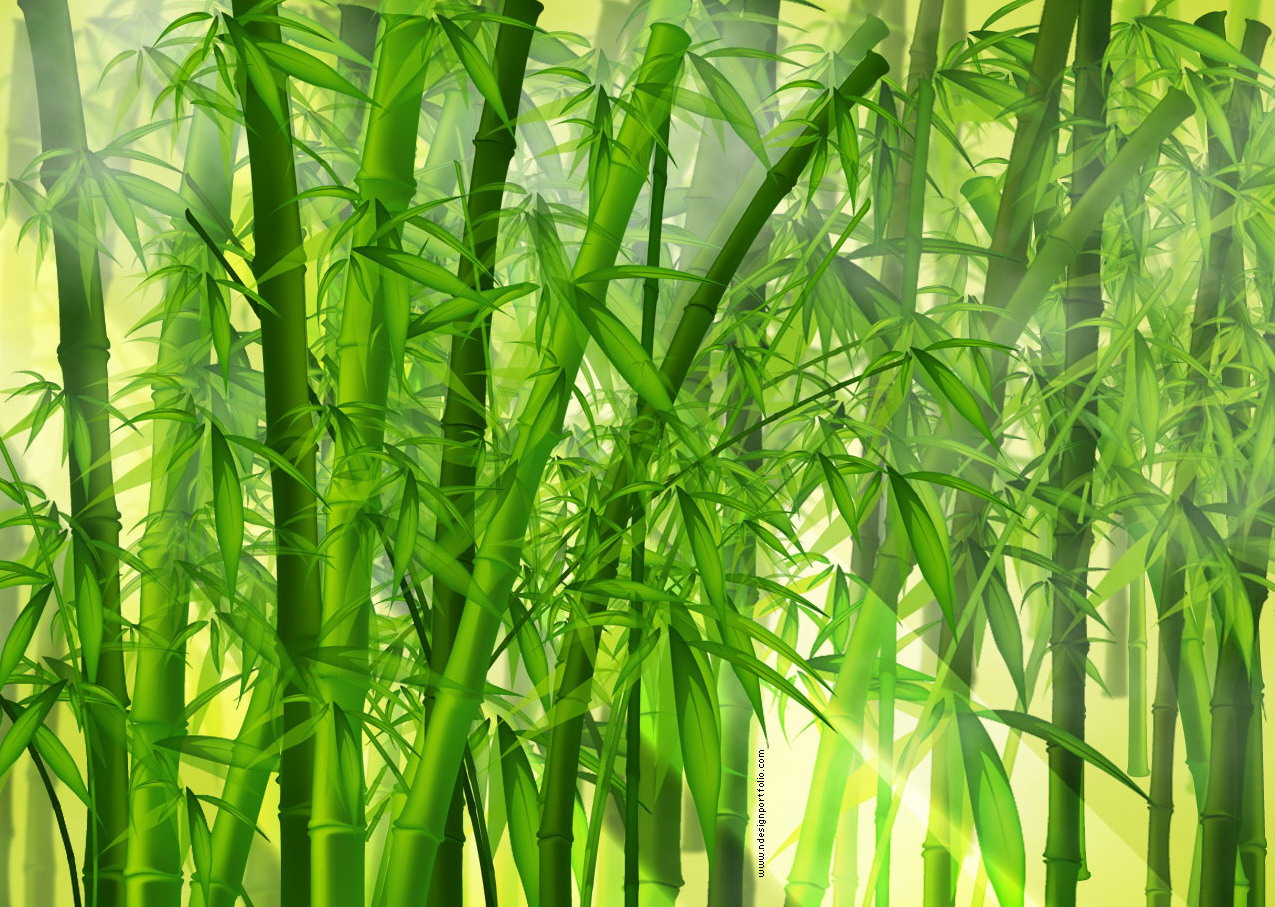 Detail Gambar Tumbuhan Bambu Nomer 14