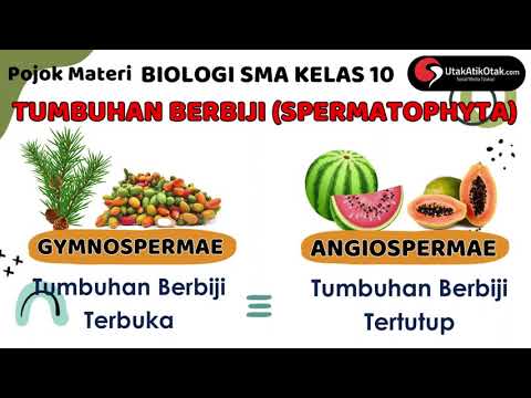 Detail Gambar Tumbuhan Berbiji Nomer 23