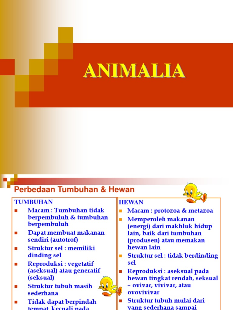 Detail Gambar Tumbuhan Coelenterata Nomer 37