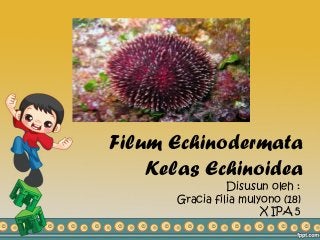 Detail Gambar Tumbuhan Echinodermata Nomer 27