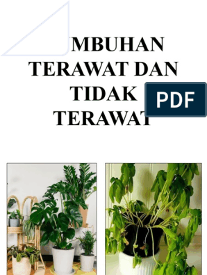 Detail Gambar Tumbuhan Tidak Terawat Nomer 28