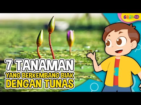 Detail Gambar Tumbuhan Tunas Nomer 25