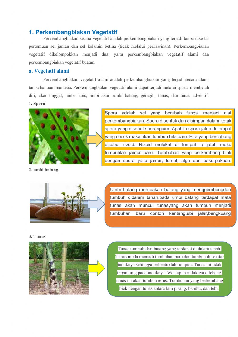 Detail Gambar Tumbuhan Tunas Nomer 50