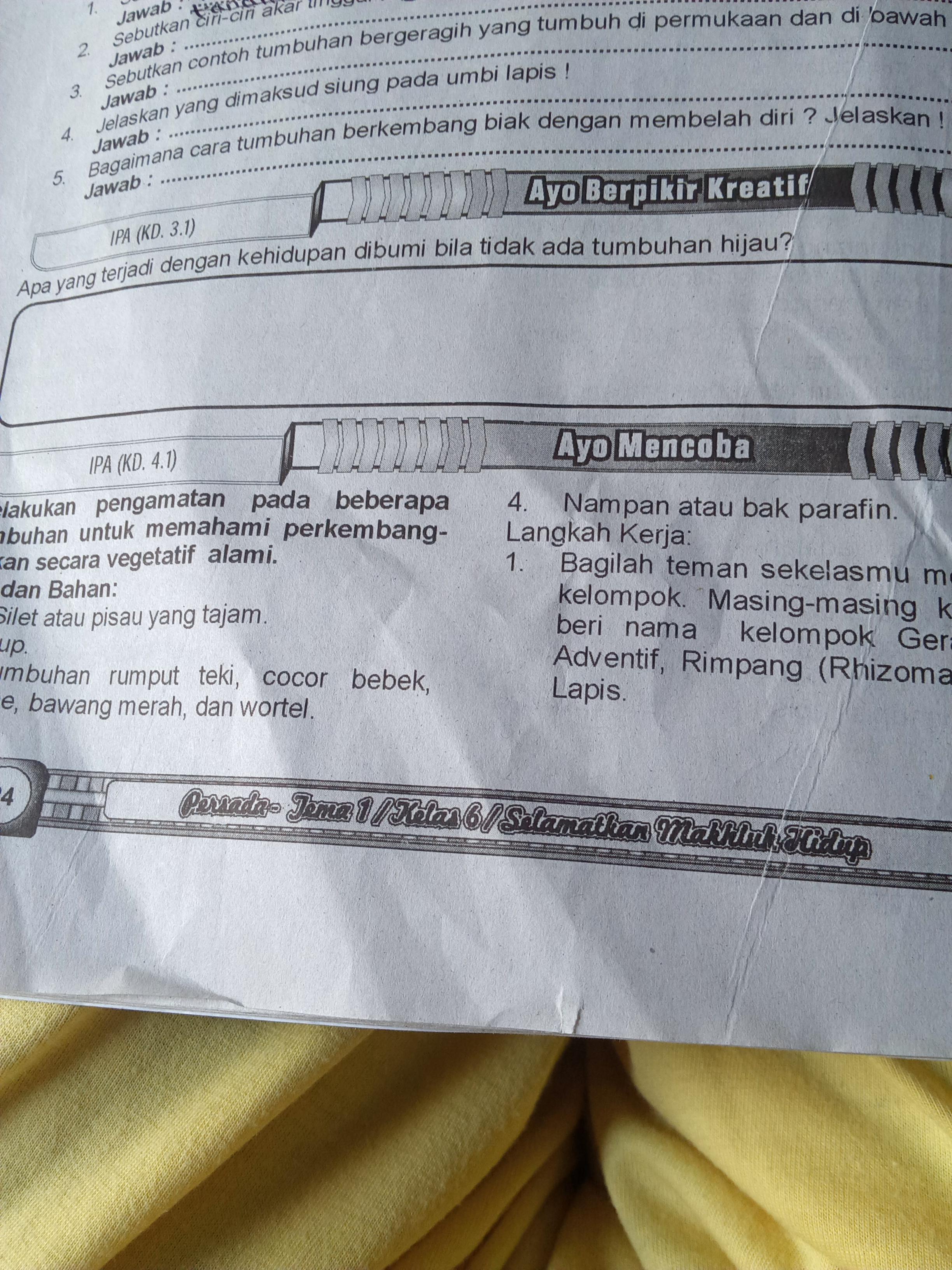Detail Gambar Tumbuhan Yang Berkembangbiak Dengan Membelah Diri Nomer 49