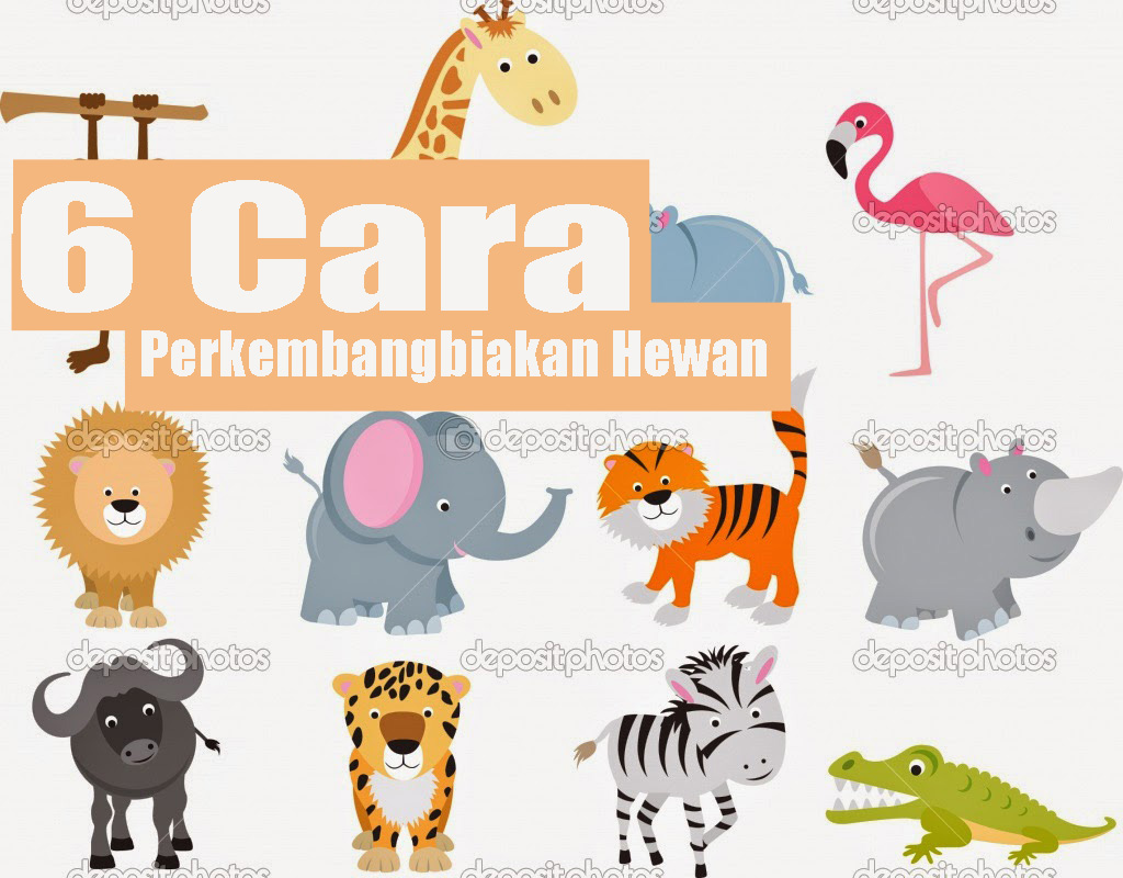 Detail Gambar Tumbuhan Yang Berkembangbiak Dengan Membelah Diri Nomer 50
