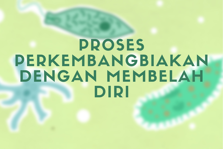 Detail Gambar Tumbuhan Yang Berkembangbiak Dengan Membelah Diri Nomer 7