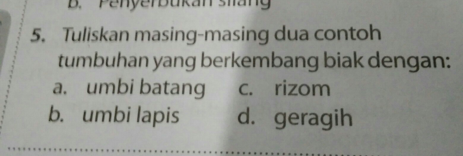 Detail Gambar Tumbuhan Yang Berkembangbiak Dengan Umbi Batang Nomer 52