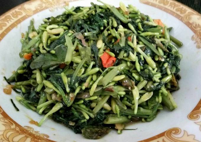 Detail Gambar Tumis Kangkung Bunga Pepaya Nomer 20