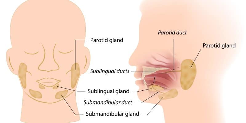 Detail Gambar Tumor Parotis Nomer 17