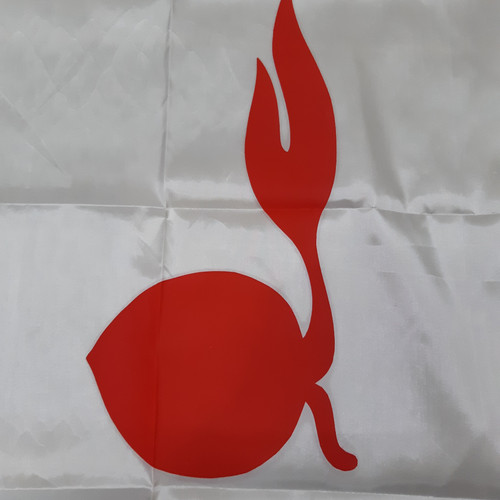 Detail Gambar Tunas Kelapa Pramuka Berwarna Koleksi Nomer 51