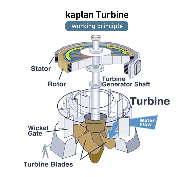 Detail Gambar Turbin Kaplan Nomer 14