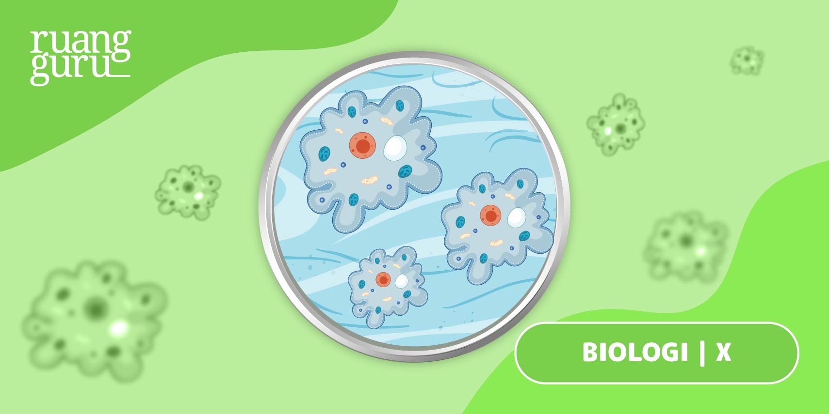 Detail Gambar Turmbuhan Protozoa Nomer 30