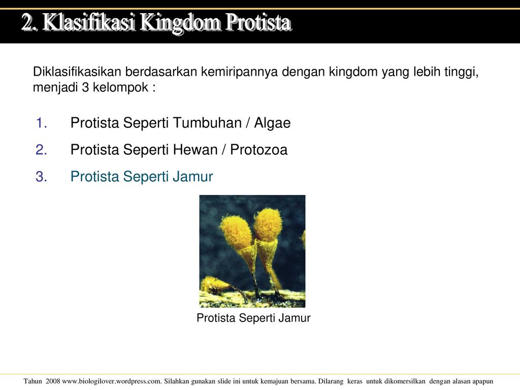 Detail Gambar Turmbuhan Protozoa Nomer 47