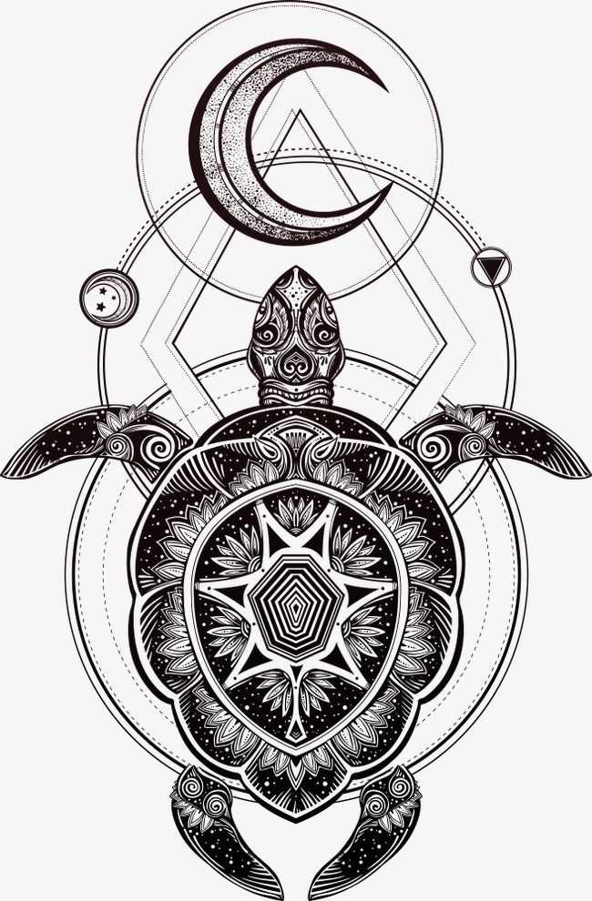 Detail Gambar Turtle And Moon Nomer 13
