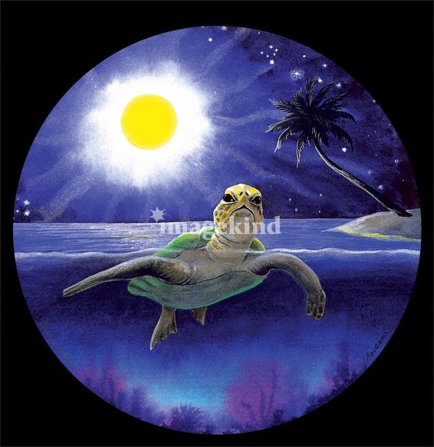 Detail Gambar Turtle And Moon Nomer 17