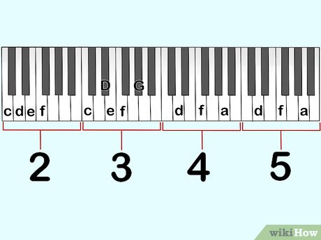 Detail Gambar Tut Piano Nomer 17