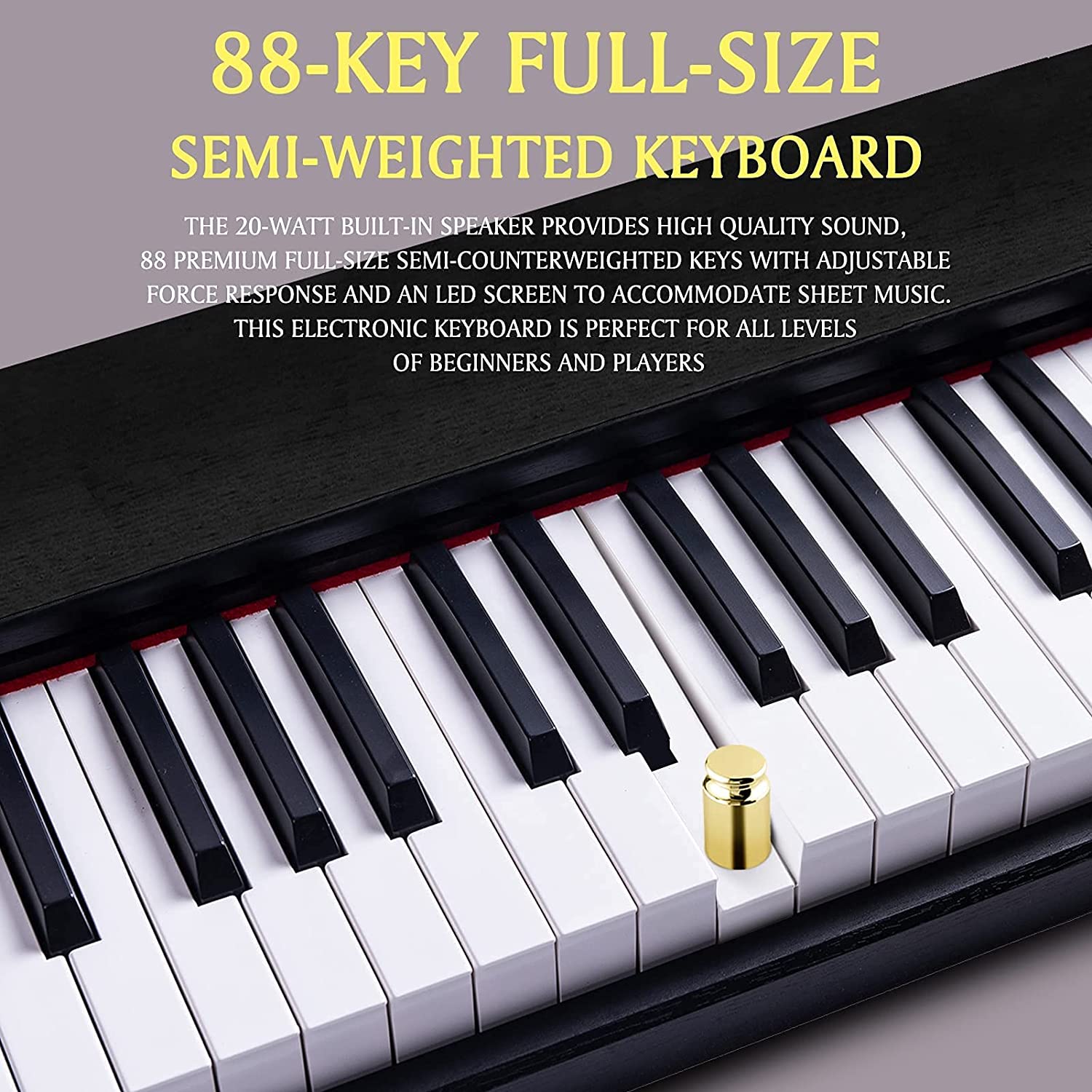 Detail Gambar Tut Piano Nomer 32