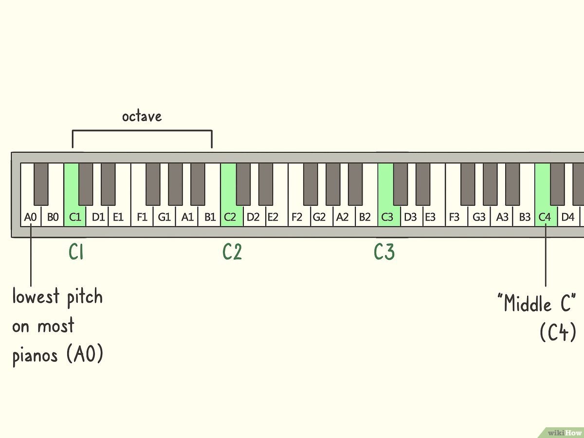 Detail Gambar Tuts Piano 1 Oktaf Nomer 24