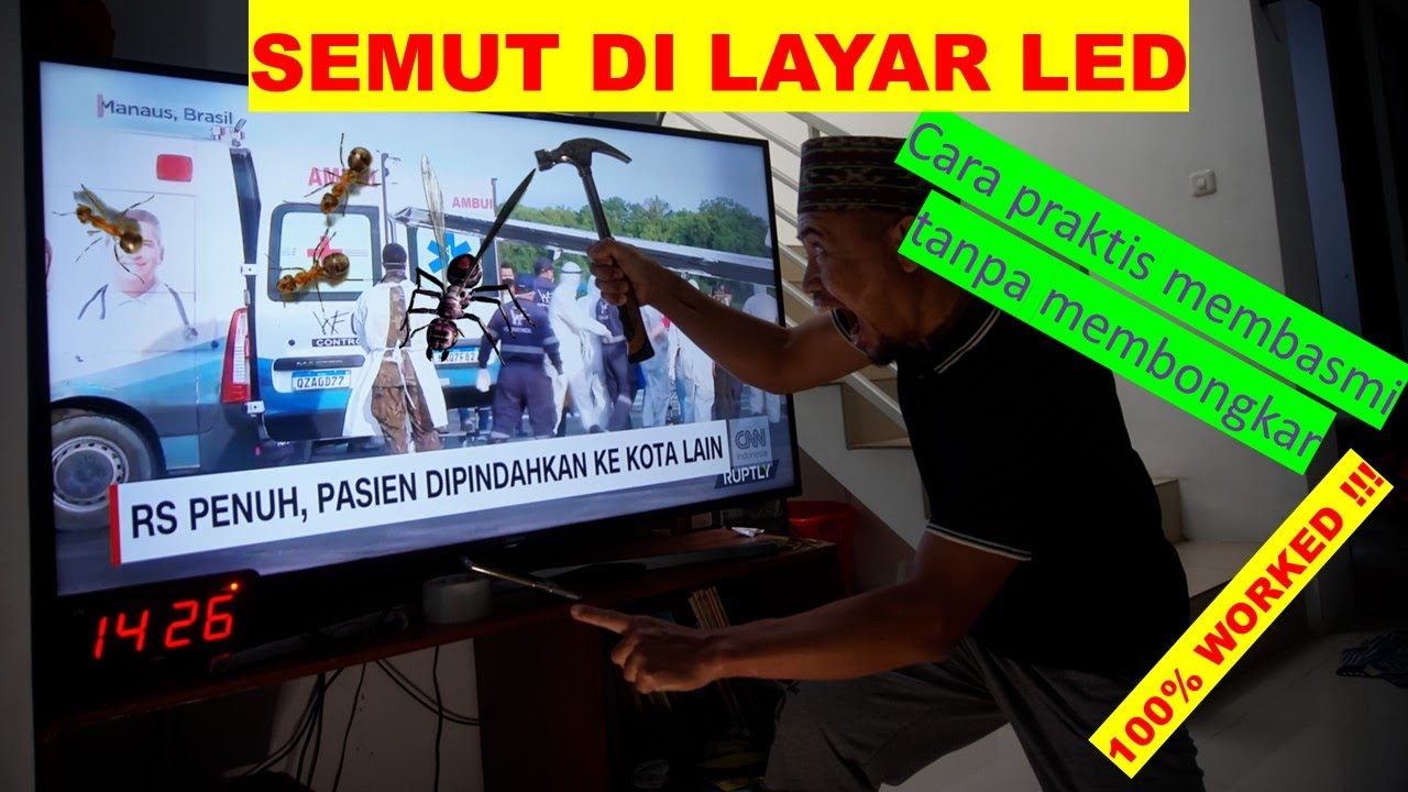 Detail Gambar Tv Semut Nomer 38