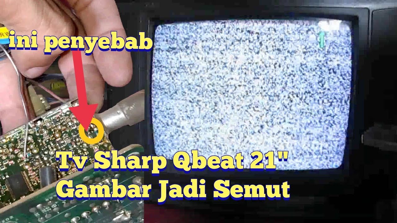 Detail Gambar Tv Semut Nomer 47