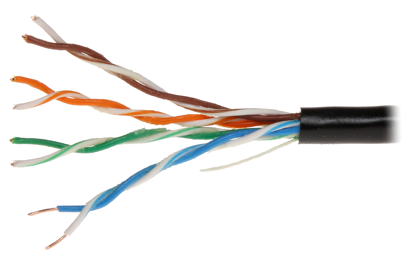 Detail Gambar Twisted Pair Nomer 23
