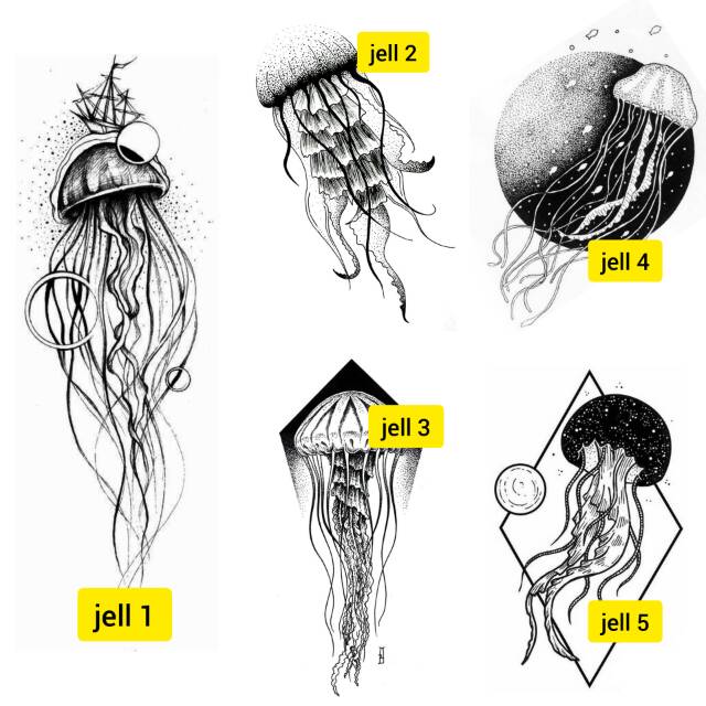 Detail Gambar Ubur Ubur Hitam Putih Nomer 25