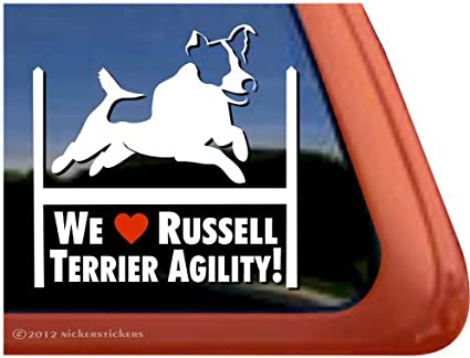 Detail Agility Parson Russell Terrier Nomer 4