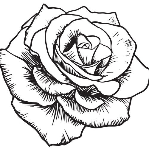 Detail Black Rose Tattoo Nomer 3