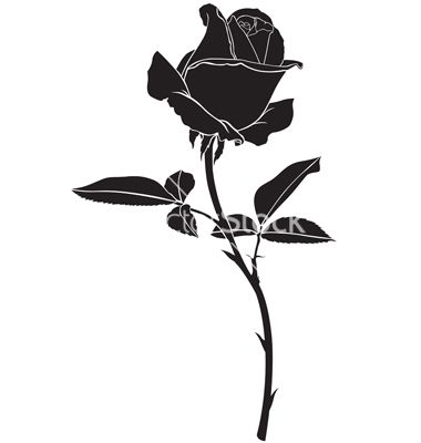 Detail Black Rose Tattoo Nomer 5