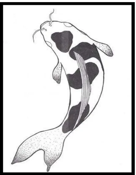 Detail Desain Batik Ikan Nomer 43