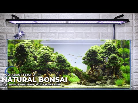 Detail Desain Bonsai Aquascape Nomer 18