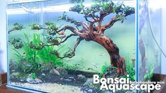 Detail Desain Bonsai Aquascape Nomer 36