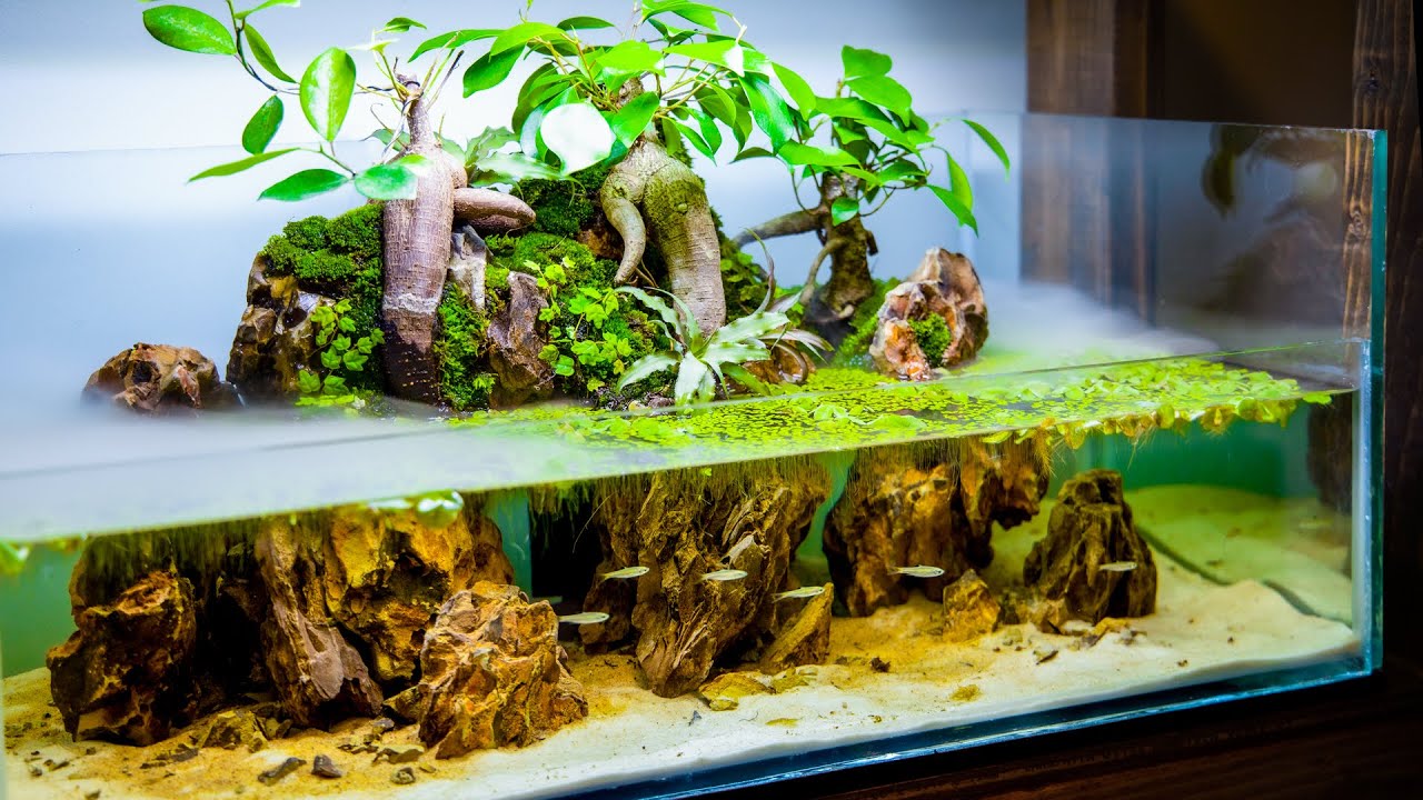 Detail Desain Bonsai Aquascape Nomer 41