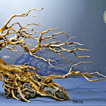 Detail Desain Bonsai Aquascape Nomer 42