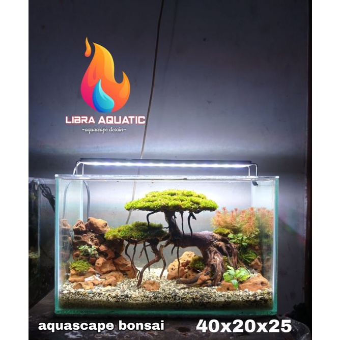 Detail Desain Bonsai Aquascape Nomer 43